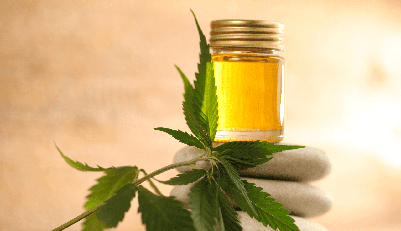 Cannabis Zweig mit Extrakt auf Steinen