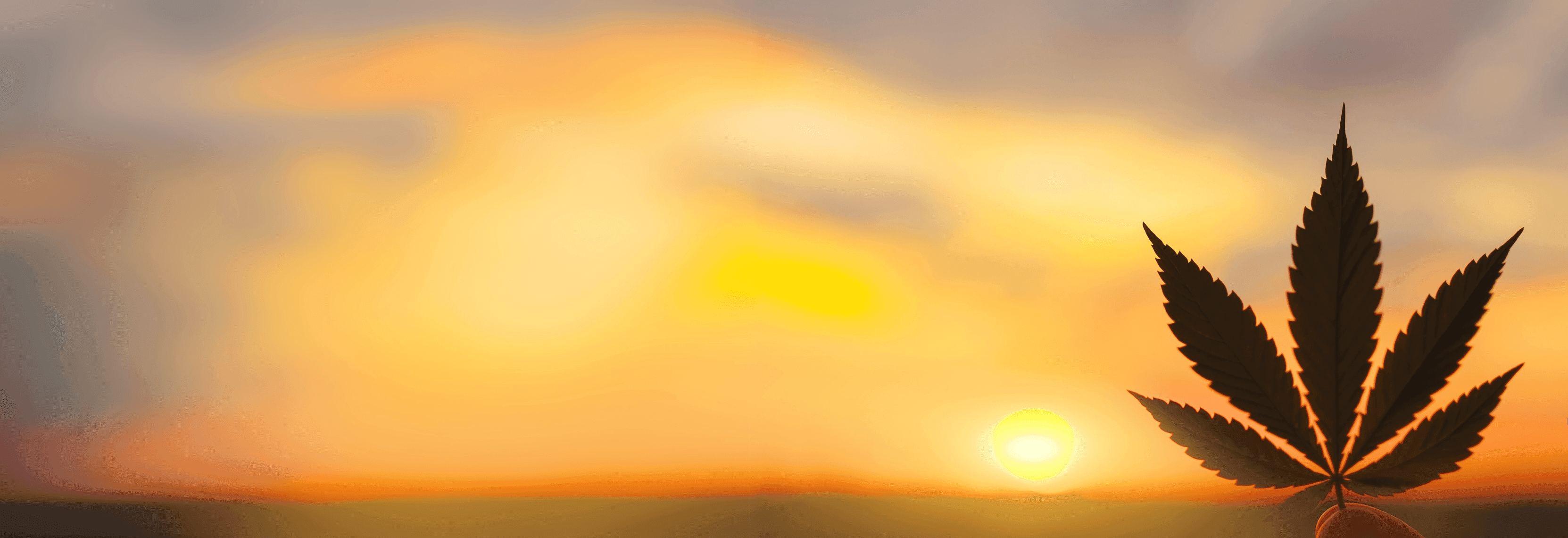 Cannabis Blatt vor Sonnenuntergang